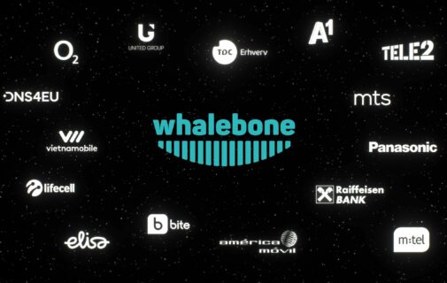 Whalebone verze s intrem 1.mp4 snapshot 00.50 2023.11.09 14.51.32